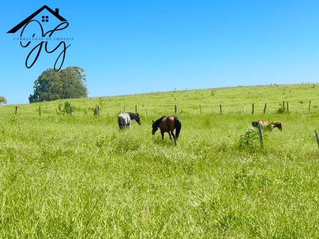 #SI29 - Sítio para Venda em São Pedro - SP