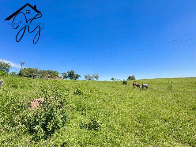 #SI29 - Sítio para Venda em São Pedro - SP