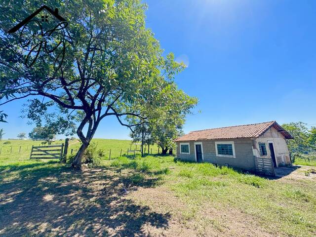 #SI29 - Sítio para Venda em São Pedro - SP