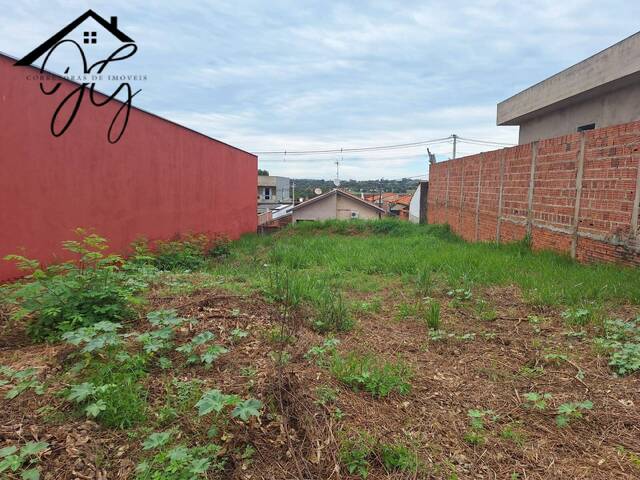 Terreno para Venda em São Pedro - 2