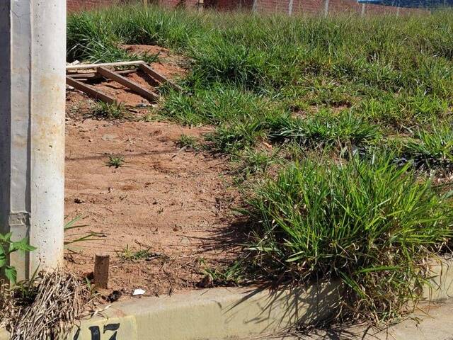 #TE47 - Área para Venda em São Pedro - SP