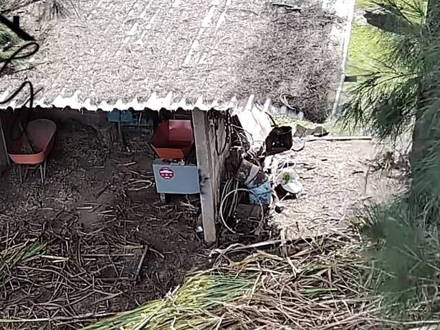 Sítio para Venda em São Pedro - 3