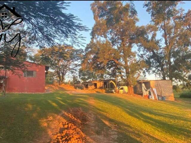 Sítio para Venda em São Pedro - 4