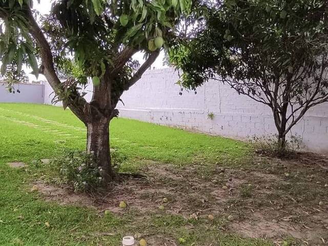 Área para Venda em São Pedro - 5