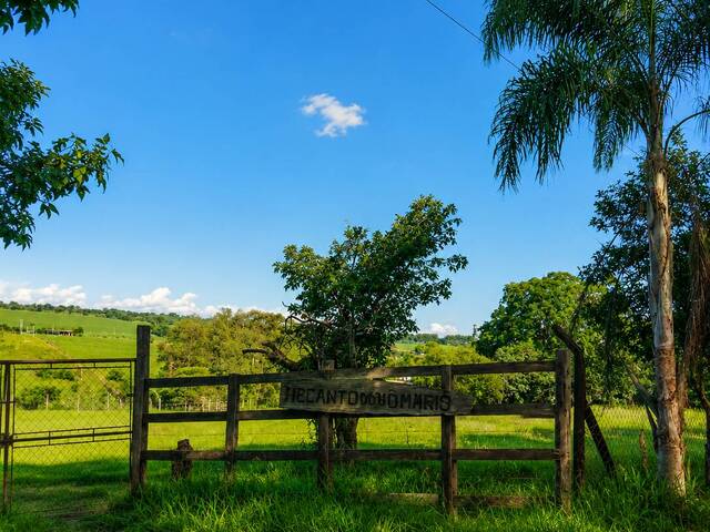 #SI71 - Sítio para Venda em São Pedro - SP - 3