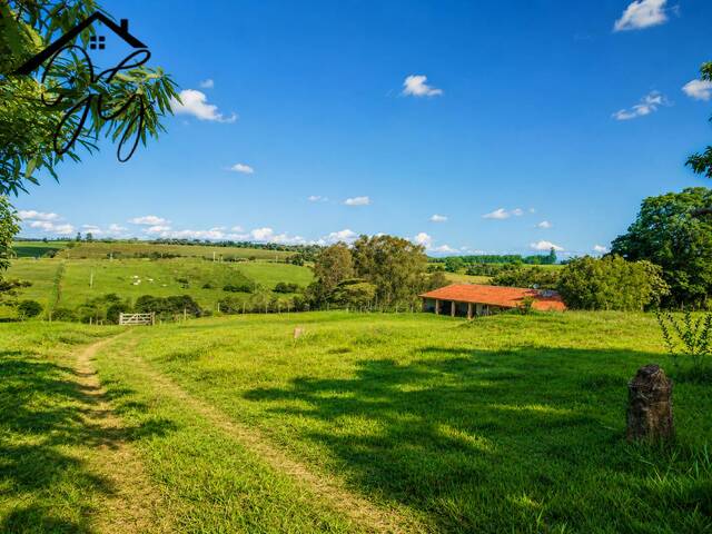 Sítio para Venda em São Pedro - 4