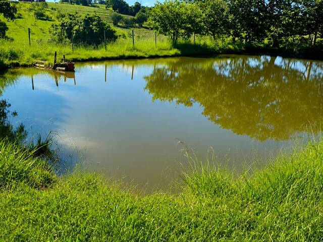 Sítio para Venda em São Pedro - 5