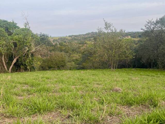 #TE76 - Área para Venda em São Pedro - SP - 3