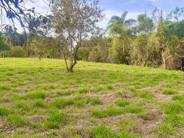 #TE76 - Área para Venda em São Pedro - SP - 1