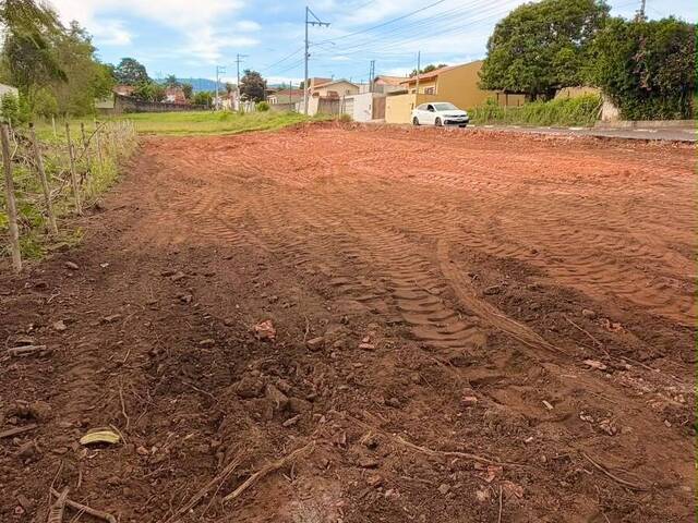 Terreno para Venda em São Pedro - 2